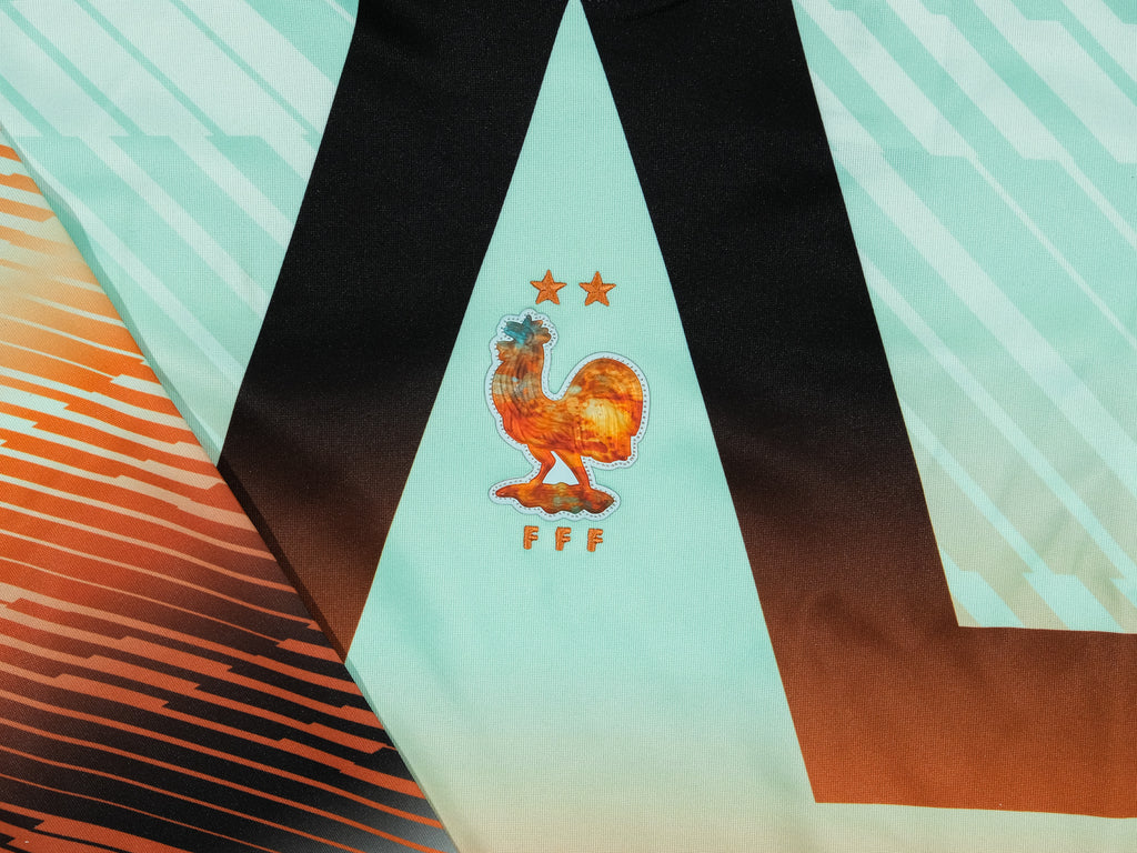 Nike France Authentic Goalkeeper Jersey 'Black/Monarch