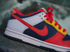 Nike Kids Dunk Low BG 'What The'