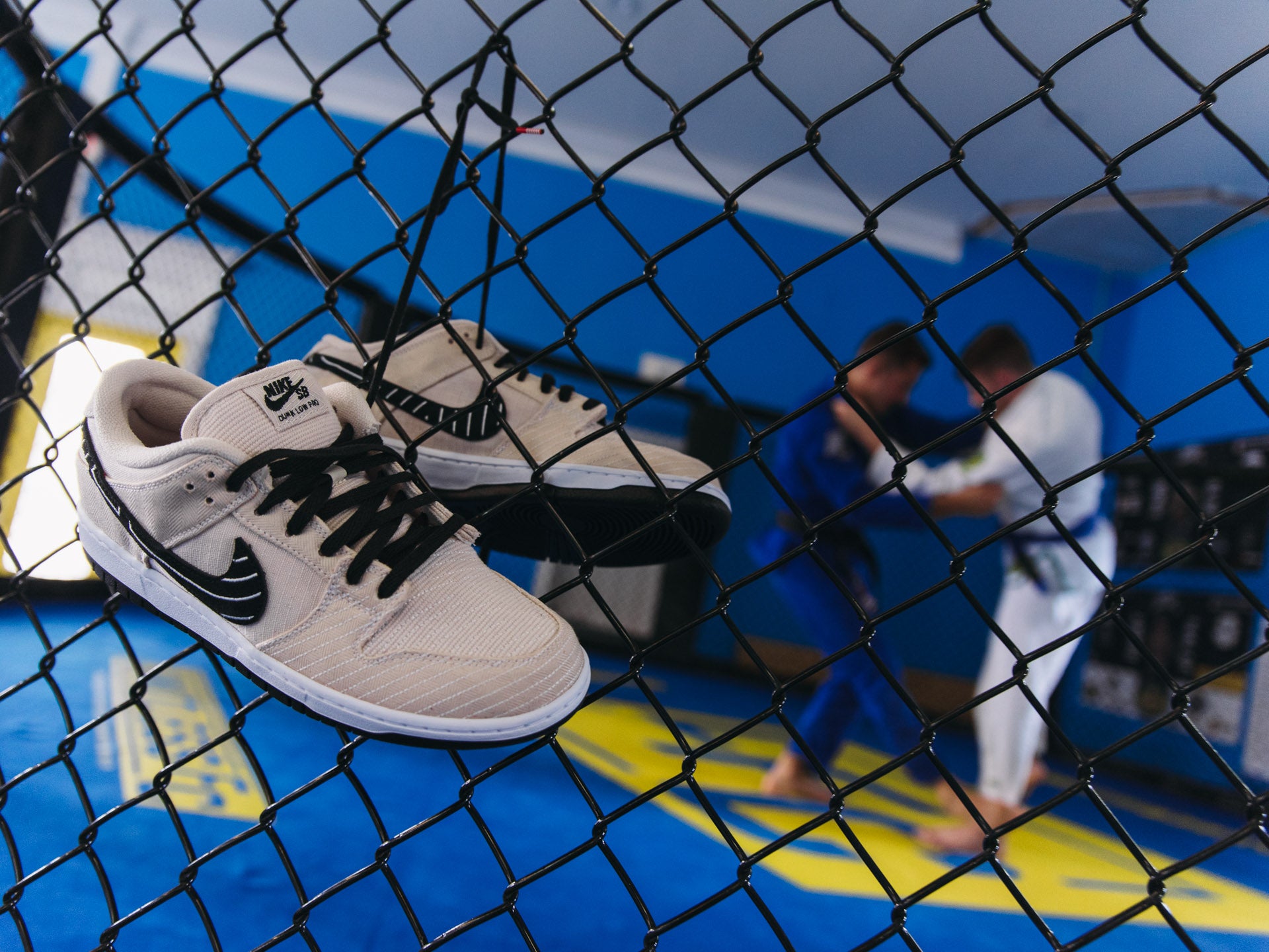 Nike SB x Albino and Preto – Unheardof Brand