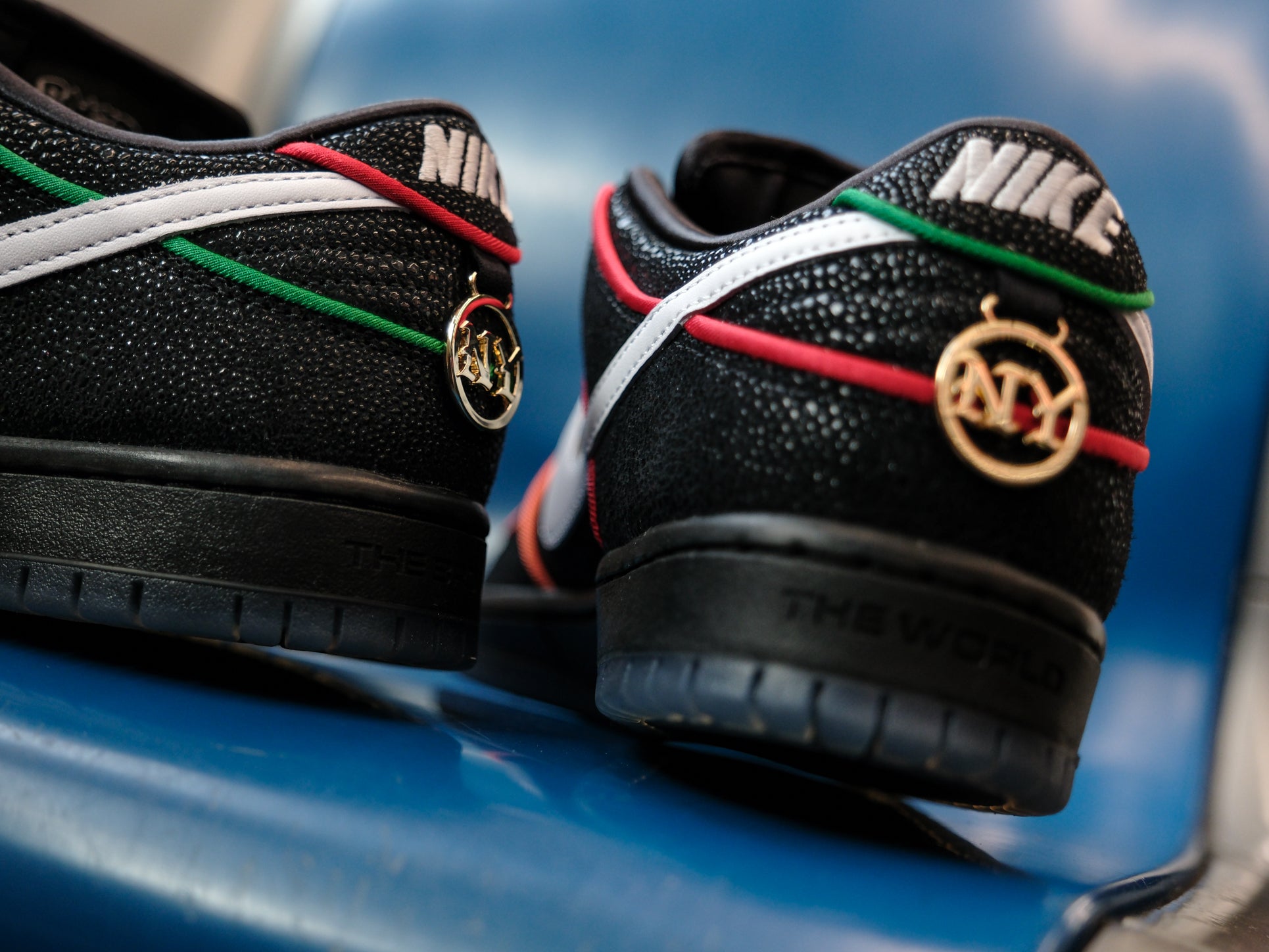 Nike SB Dunk Low Pro QS x Bronx Girls Skate – Unheardof Brand