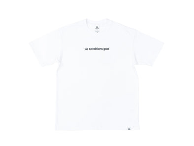 Nike ACG Goat Dri-fit T-Shirt 'White'
