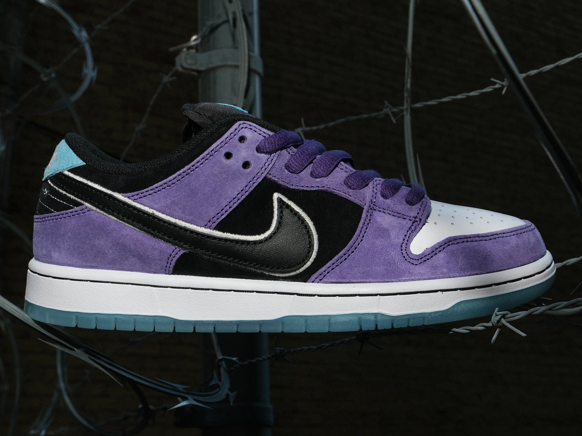 ★Nike x Hayley Wilson★SB Dunk Low Pro★Black Court Purple Nike SB Dunk Low Pro x Hayley Wilson 'Black and Court Purple